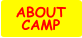 ABOUT CAMP